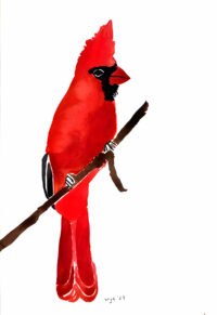 Cardinal