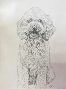 poodle artwork